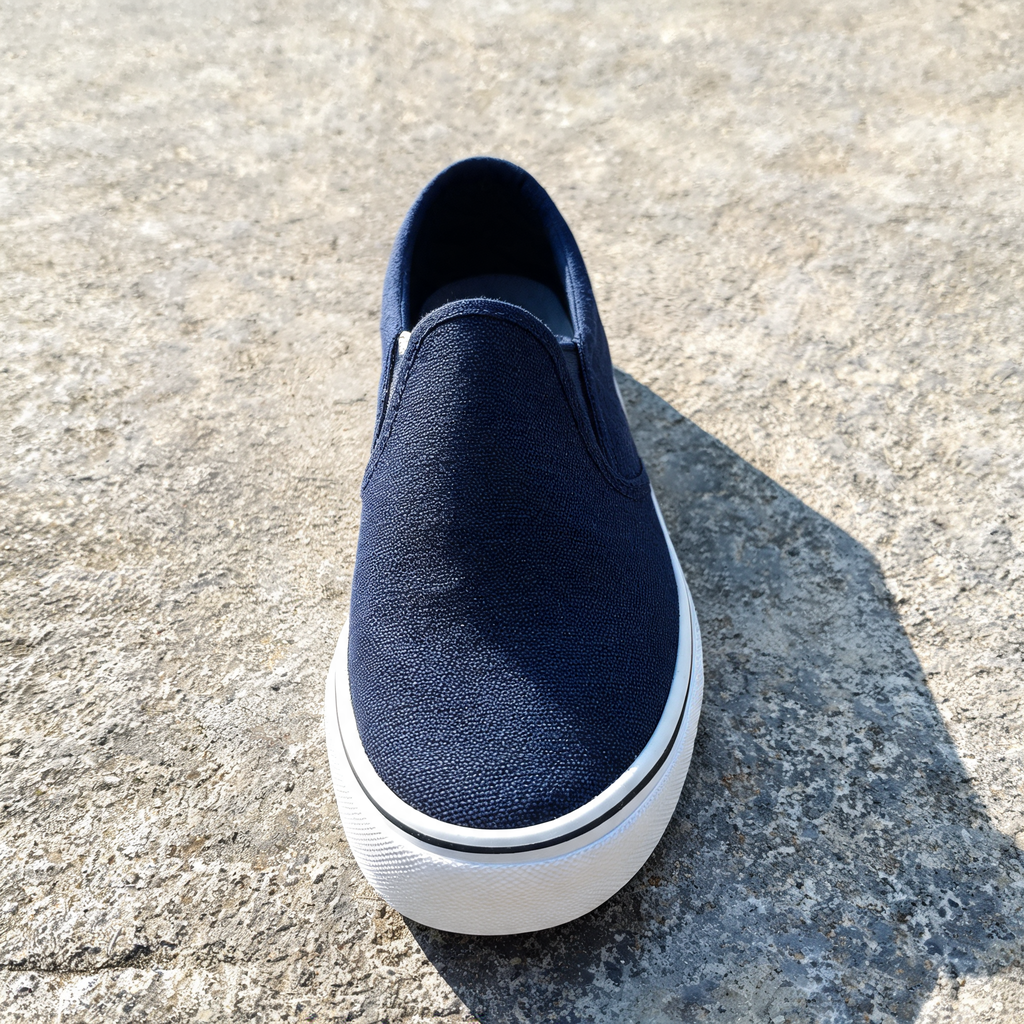 Input shoe for White-Background Standardizer