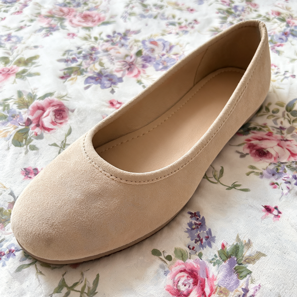 Input shoe for White-Background Standardizer